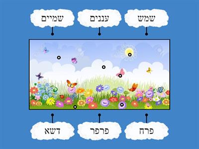 מה יש באביב