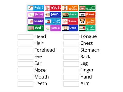 أجزاء الجسم body parts