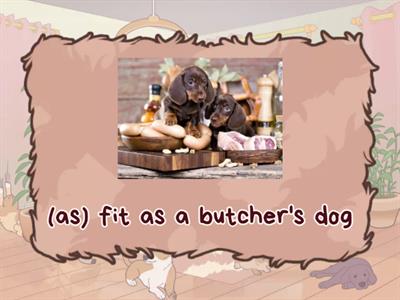 DOG IDIOMS English for kids, teens and adults
