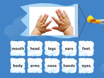 FTM Treetops 1 - Unit 8: Body and Face (2) 