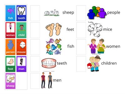 Irregular Plural Nouns