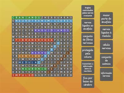 Sopa de Letras do Sistema Nervoso 