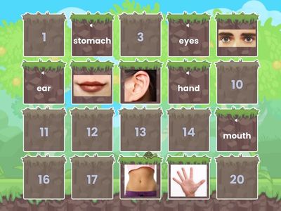 Body Parts Memory Game