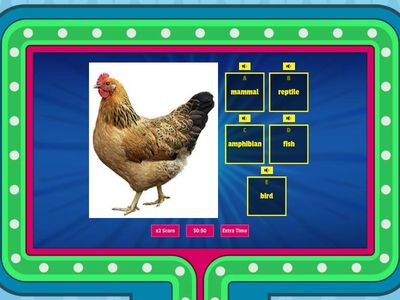 Classify animals Quiz Lesson 2