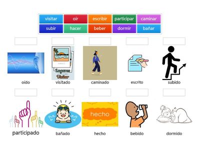 Le participe-passé du verbe