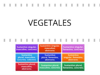 Clasificación  de sustantivos