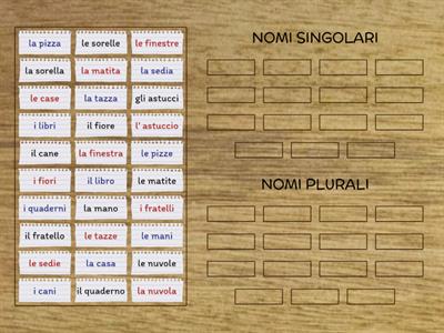 NOMI SINGOLARI E NOMI PLURALI