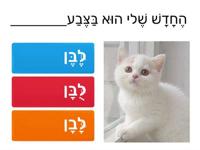 דיוק בקריאה- מילים דומות