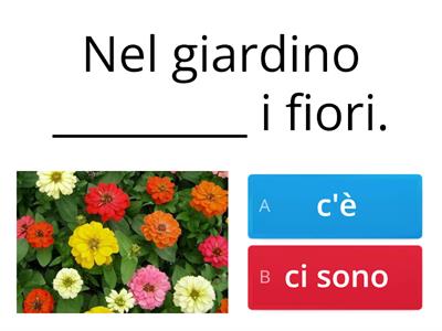 c'è / ci sono