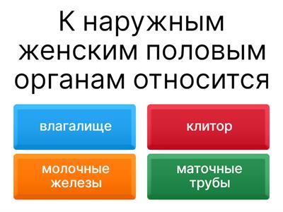 Воспалительные заболевания женской половой системы