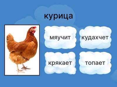 как говорят животные