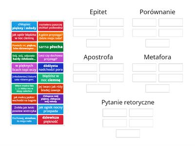 ,,Świtezianka" - środki stylistyczne