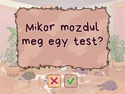 Mozgás, ütközések 3.o.