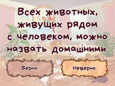 Человек и мир