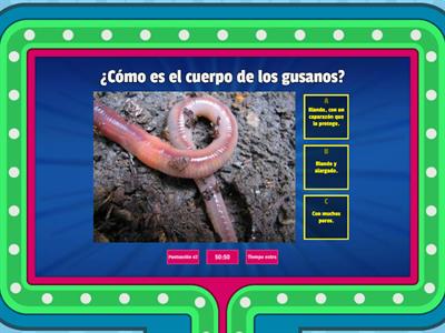  ¿QUÉ SABES DE LOS MOLUSCOS Y LOS INSECTOS?