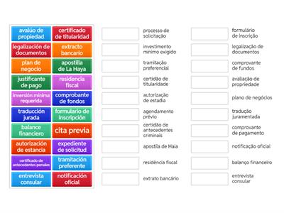 Léxico Avanzado para la Solicitud de Visa de Inversionista