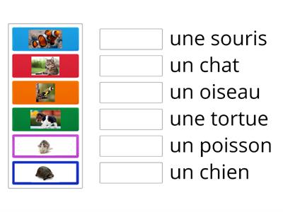 3º ANO - Identifie les animaux.