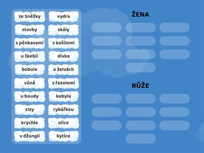 Vzory rodu ženského_A
