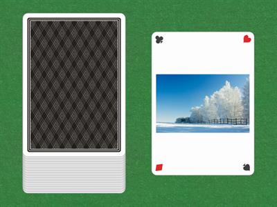 divided - rabbit/reptile words