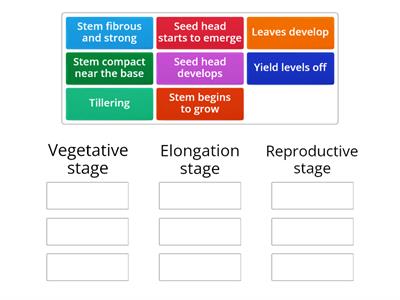 Stages of grass growth