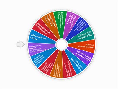 Эмбриональное развитие организмов