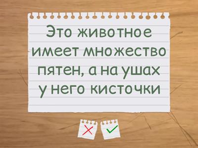 Дикие животные 