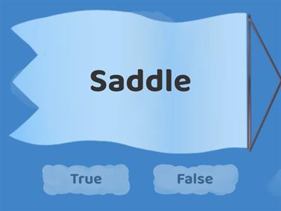 c+le choose the correct spelling true or false