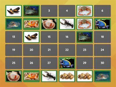 Flora e fauna di mare