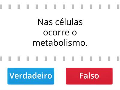 Nutrição