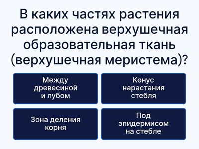 Ткани растений