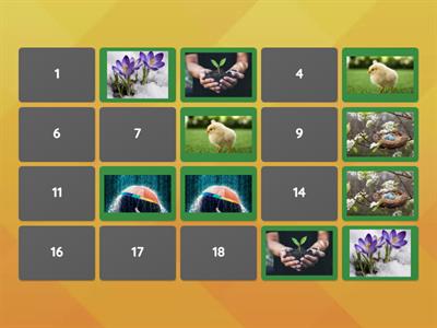 Signs of Spring Memory Game