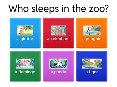 Power up 1 U6 reading quiz 