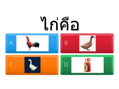 กลศาสตร์