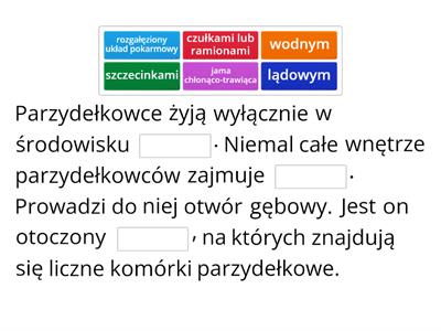 Parzydełkowce