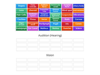 Sensory Matching 2