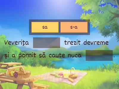 Ortograma sa / s-a