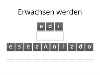 Wortschatz Fokus c1 L2