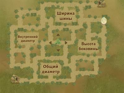 Шины. ОГЭ. 9 класс