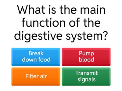 Digestive System Basics Quiz