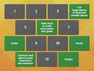 Summary of digestive system