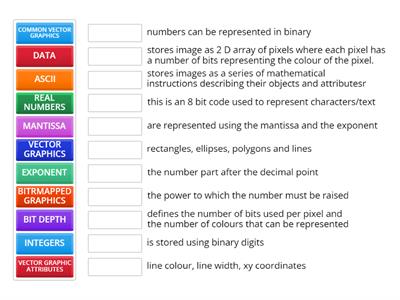 binary, real numbers,vector and bitmapped graphics