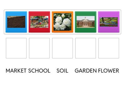 Match the word with the correct meaning.