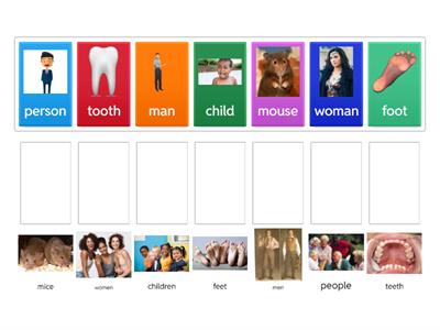 Singular and Plural Nouns