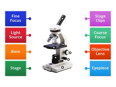 FFynone house- Y9 Light Microscope labelling