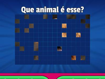 Exercício de Vocabulário de Animais em Português - Níveis A1/A2 - Português com @prof.nathysoares