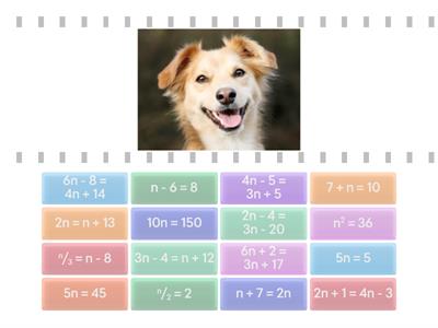 Solving Equations Bingo