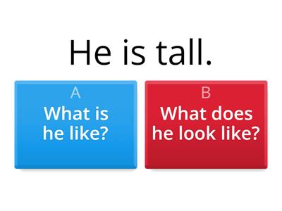  Questions:  What does he look like? What is he like? 