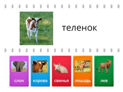 животные малыши 