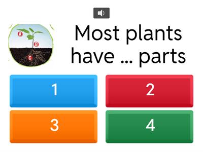 G3 Science Club 01 plants 