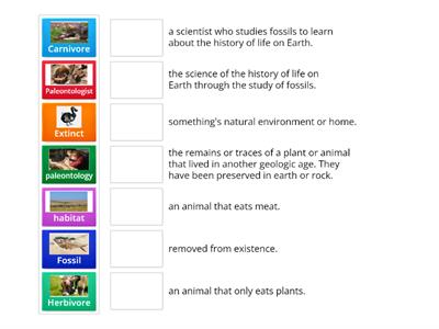 Fossils Vocabulary - Match Up Game - Grade 3